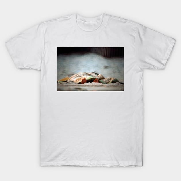 Crime Scene #14 T-Shirt by markross